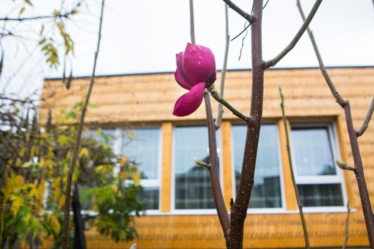 Отель Casa Cu Magnolii Пойениле-Изей Экстерьер фото