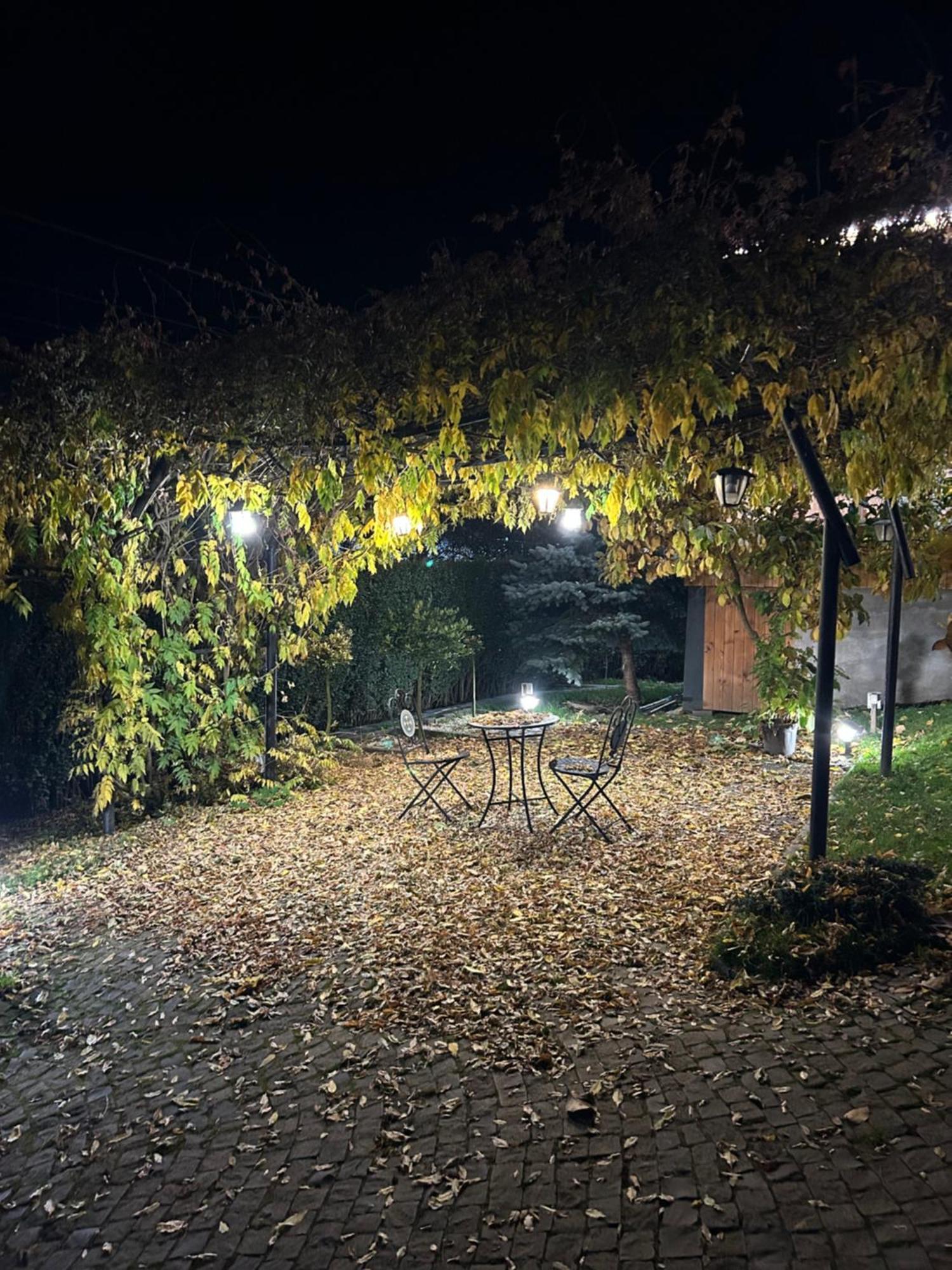 Отель Casa Cu Magnolii Пойениле-Изей Экстерьер фото