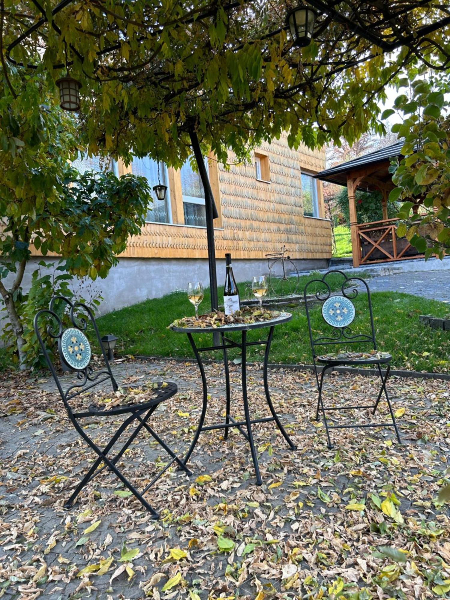 Отель Casa Cu Magnolii Пойениле-Изей Экстерьер фото